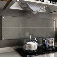 vidaXL virtuves panelis, 120x40 cm, caurspīdīgs rūdīts stikls cena un informācija | Virtuves furnitūra | 220.lv