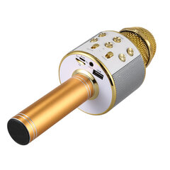 Karaoke mikrofons Royal Song WS-858 cena un informācija | Mikrofoni | 220.lv