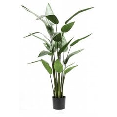 Emerald mākslīgais augs, helikonija, zaļa, 125 cm, 419837 cena un informācija | Mākslīgie ziedi | 220.lv