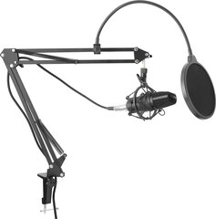 Mikrofons Yenkee 45014162 cena un informācija | Mikrofoni | 220.lv