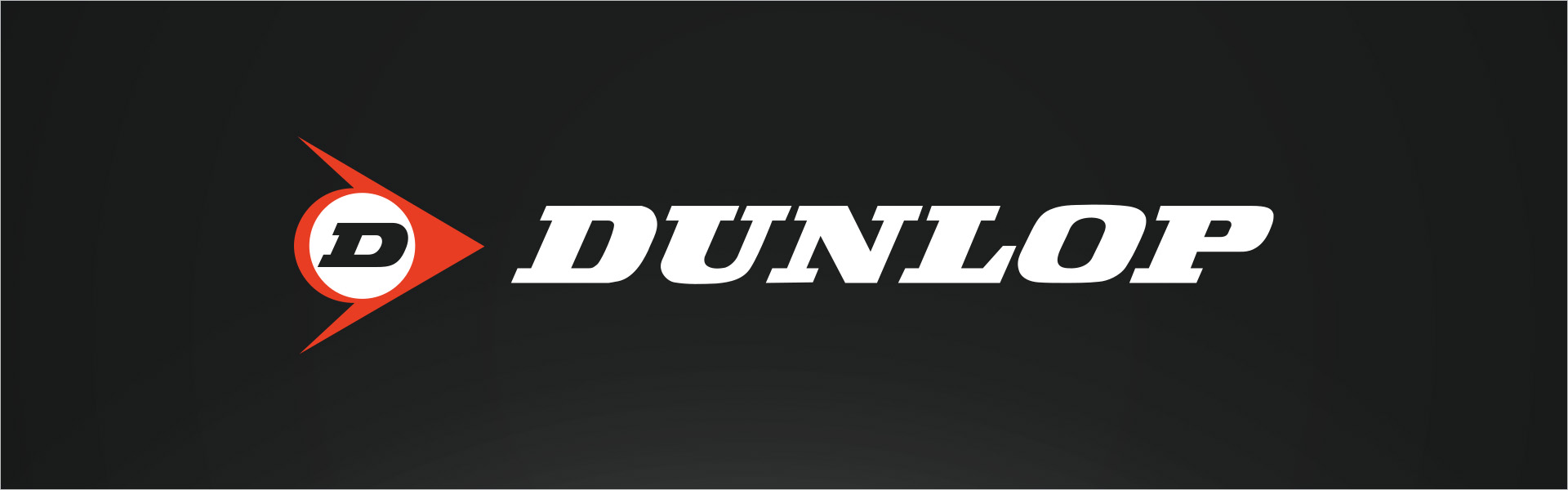 Dunlop SP Winter Sport 3D 235/65R17 104 H Dunlop