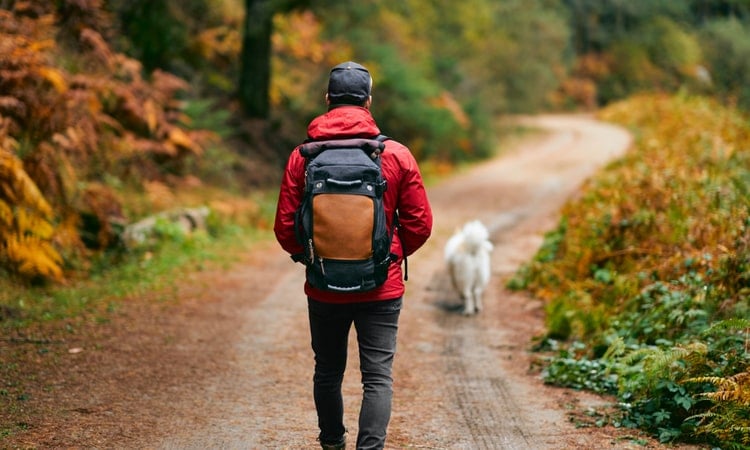 мужчина гуляет с собакой в ​​поле с большим туристическим рюкзаком